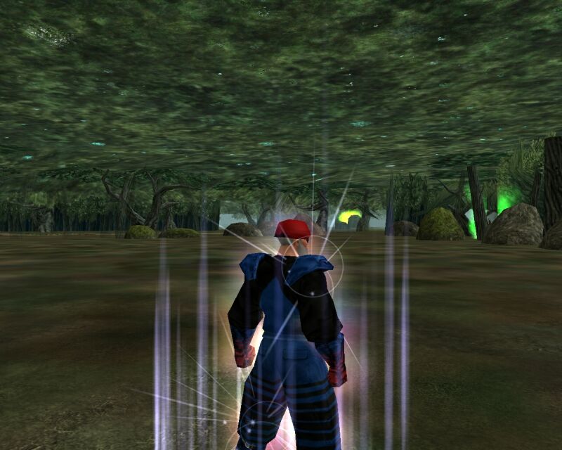Inside the Woods